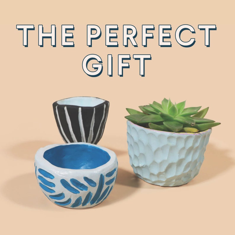 May include: Three handmade ceramic planters, one with a black and white striped design, one with a blue and white design, and one with a light blue textured surface. A small green succulent plant is in the light blue planter.