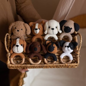 May include: A set of eight crocheted dog rattle toys in a variety of colors and patterns. The toys are arranged in a wicker basket.