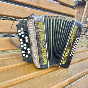 Pequeño acordeón de botones para niños Malish, 16 bajos, Bayan para principiantes, Malish, Bayan ruso, Acordeón, Instrumento musical,
