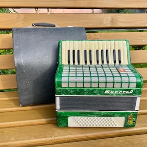 May include: A green and cream-colored accordion with black keys and a black carrying case. The accordion has a grid pattern on the front and the text "Министр 2". The accordion is sitting on a wooden bench.