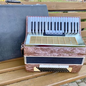May include: A vintage brown accordion with white and black keys, a gold-colored grill, and a black case. The accordion is resting on a wooden bench outdoors.