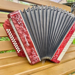 Accordion sponge Garmoshka Vesna 2  made in Ukraine Harmonica, pleasant bright sound. 24 buttons, 24  basses
