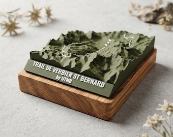 Small 3D Relief Trail (15 cm)
