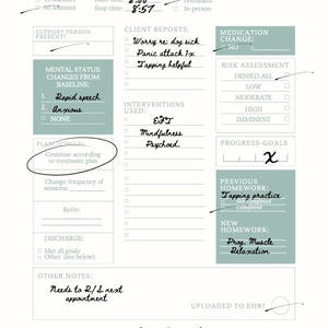 May include: A light blue and white therapy session note template with handwritten notes. The template includes sections for client information, client reports, interventions used, medication changes, risk assessment, progress goals, previous homework, new homework, discharge, other notes, and clinician signature. The date is 9/24/24.