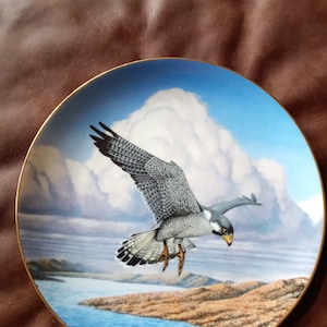 Coastal Journey peregrine falcon by Thomas Hinata  plate # 2930A