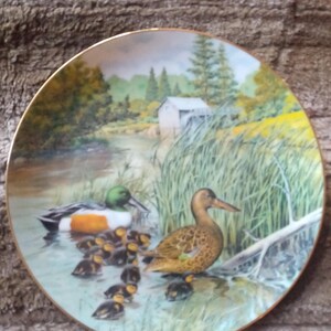 May include: A decorative ceramic plate with a painted image of a family of ducks in a pond. The ducks are brown, green, and orange with black eyes. The background is a green and blue landscape with a small white building in the distance.