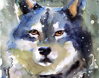 Grey Wolf Watercolor Print 11 x 14 inches - Etsy 日本