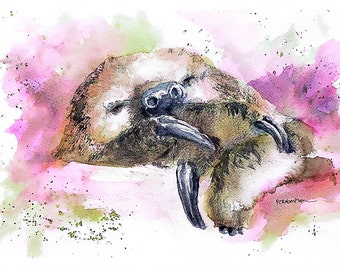 Sleepy Baby-- original/ watercolor/ painting/ 10x14 inches/ unframed/ sloth/ animal/ landscape