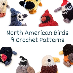 Puede incluir: Se muestran nueve patrones de crochet de aves norteamericanas. Las aves son de varios colores, incluyendo azul, rojo, amarillo y marrón. El texto "North American Birds 9 Crochet Patterns" se muestra en color turquesa.