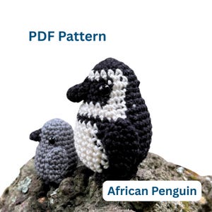May include: Two crocheted penguin figures, one large and one small, sit on a rock. The larger penguin is black and white, while the smaller one is gray. The text "PDF Pattern" and "African Penguin" are visible.