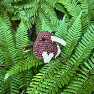 ニュージーランドのキウイ鳥の編み図：あみぐるみぬいぐるみ（PDFダウンロード） 画像 2