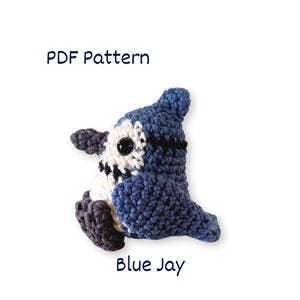 以下が含まれることがあります： 黒と白のアクセントと大きな黒い目を持つ、かぎ針編みの青い鳥。鳥の上には「PDF Pattern」、下には「Blue Jay」と書かれています。鳥は糸でできています。