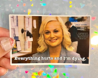 Parks and Rec vinyl sticker Leslie Knope TikTok meme Amy Poehler funny decal gift laptop journal notebook water bottle sticker cute present