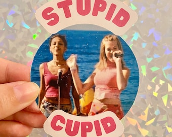 Stupid Cupid vinyl sticker Princess Diaries Mandy Moore cute funny decal gift song Valentine's Day laptop journal notebook present nerd