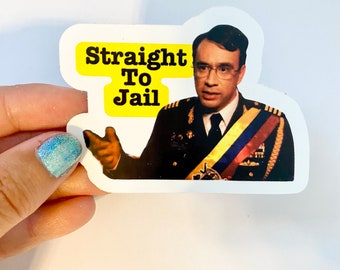 Parks and Rec vinyl sticker art Straight to Jail Fred Armisen Leslie Knope TikTok funny decal gift laptop journal notebook cute present
