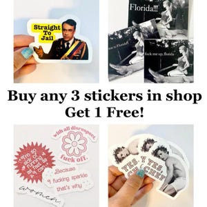 May include: A collection of stickers with various designs and text. One sticker features a man with the text "Straight To Jail." Another shows a woman on an alligator with the text "Florida!!!" and "fuck me up, florida." Other stickers have phrases like "fuck off" and "Yes, Chef."