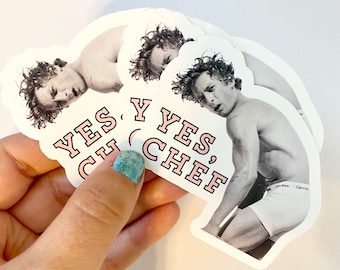 The Bear vinyl sticker art Jeremy Allen White yes, chef Klein model kitchen cook funny decal gift laptop journal notebook cute present