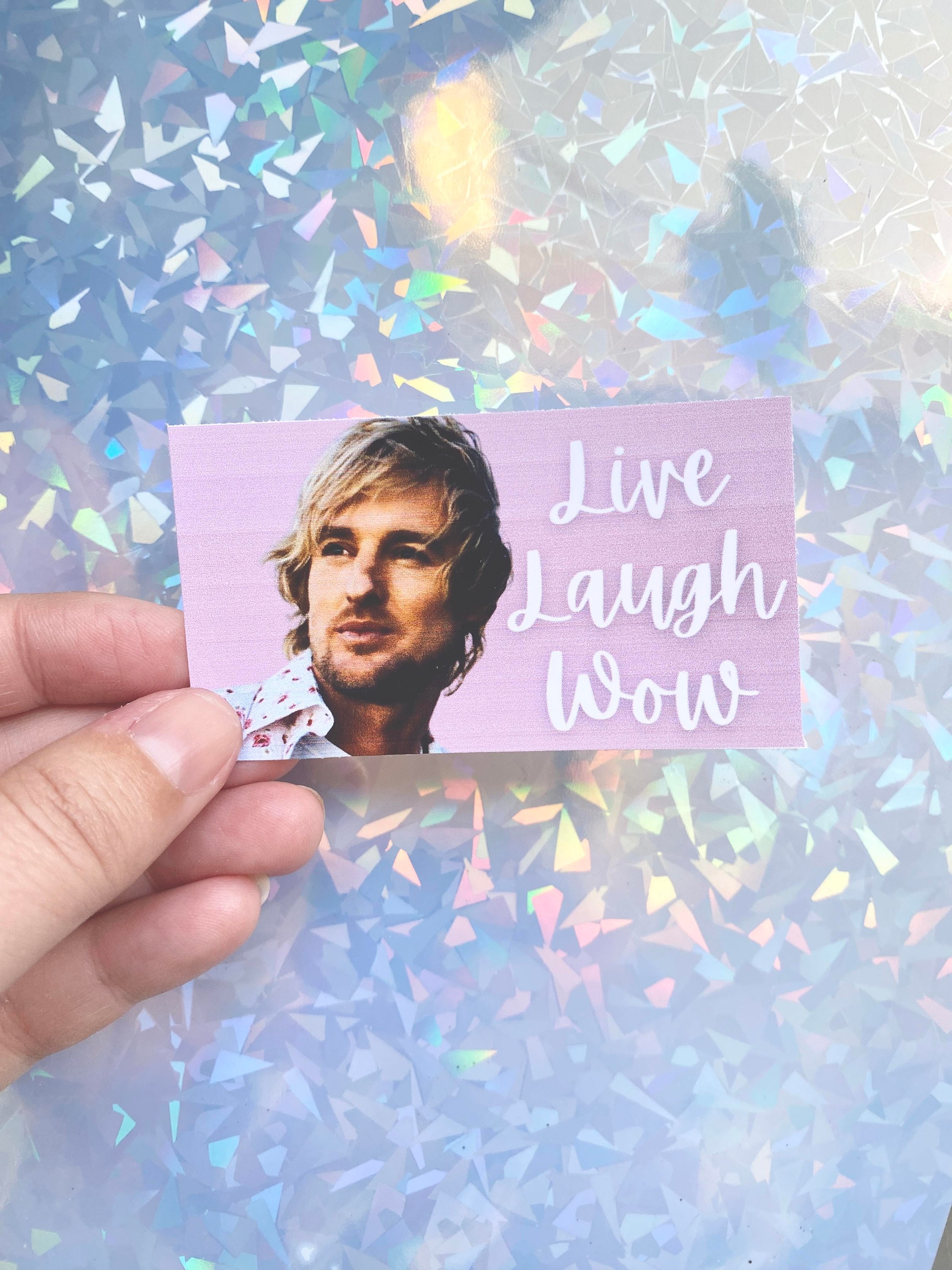Owen Wilson Wow Vinyl Sticker Art Funny Decal Cars Snarky Movie ...