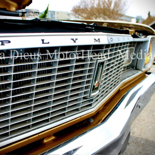 Classic Plymouth Scamp front grille