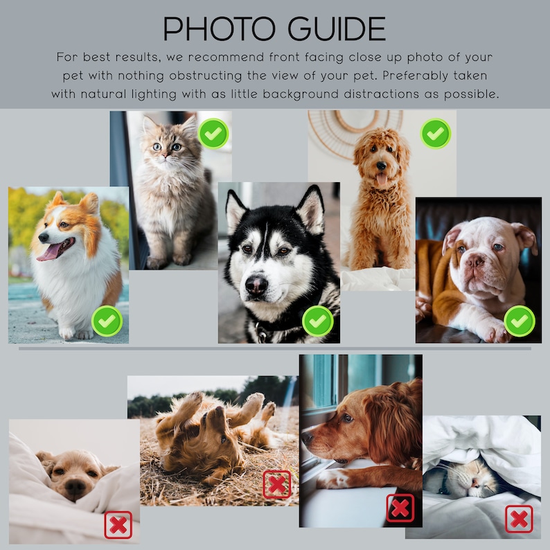 May include: A photo guide with examples of good and bad pet photos for a custom pet portrait. The good photos show pets looking directly at the camera with clear lighting and minimal background distractions. The bad photos show pets with their backs to the camera, blurry images, or distracting backgrounds.