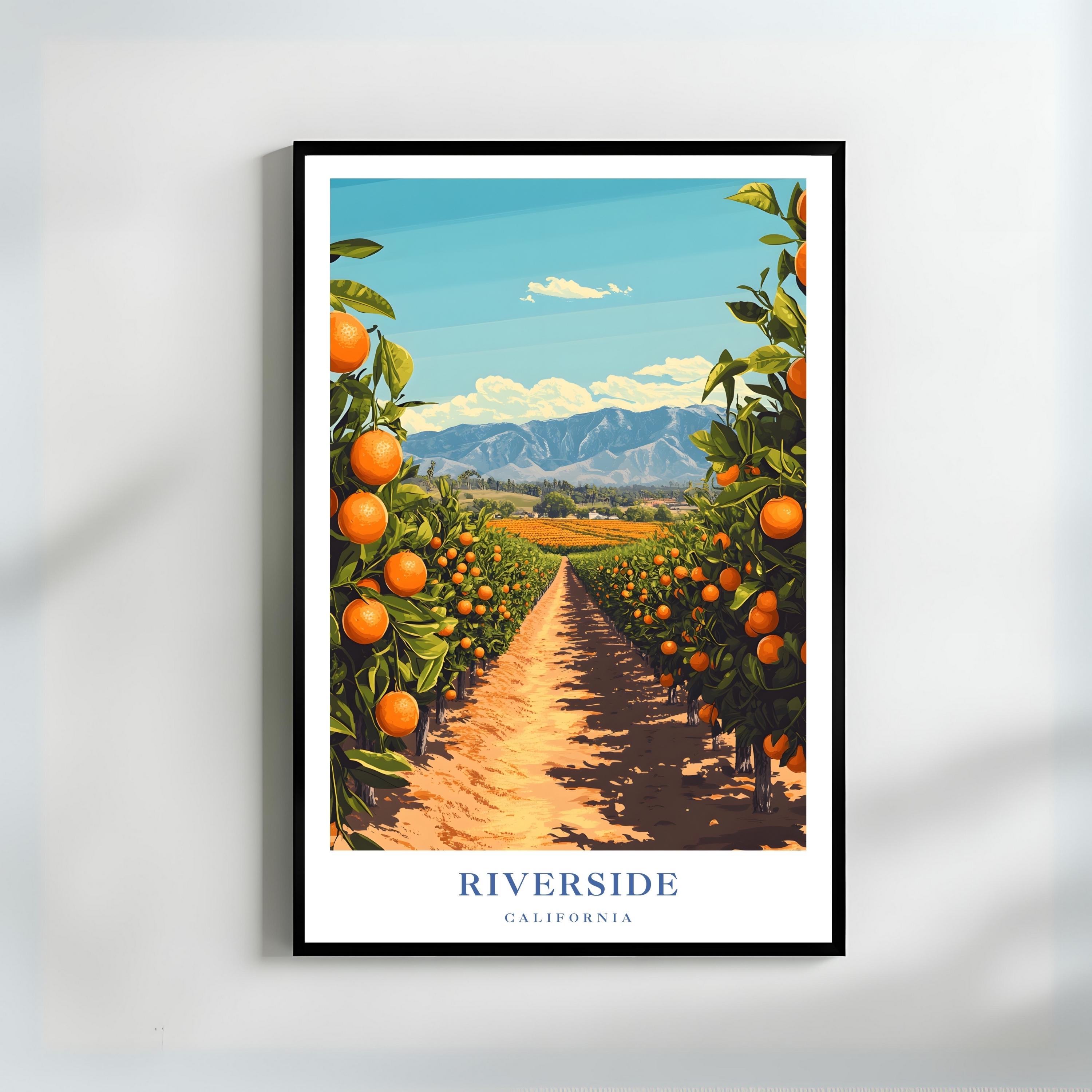 Riverside California Orange Grove Art Print Citrus Orchard Poster