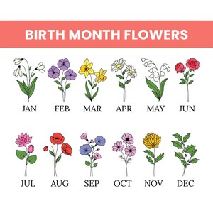 May include: Illustration of birth month flowers with the months of the year labeled below each flower. The text "BIRTH MONTH FLOWERS" is at the top. The flowers include snowdrops, violets, daffodils, daisies, lily of the valley, roses, lotus, poppies, morning glories, pink cosmos, chrysanthemums, and holly.