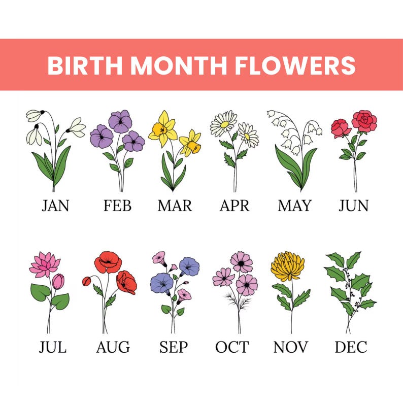 May include: Illustration of birth month flowers with the months of the year labeled below each flower. The text "BIRTH MONTH FLOWERS" is at the top. The flowers include snowdrops, violets, daffodils, daisies, lily of the valley, roses, lotus, poppies, morning glories, pink cosmos, chrysanthemums, and holly.
