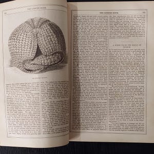 May include: An illustration from an old book shows an armadillo, a mammal with a segmented, armored shell. The animal is curled up, displaying its protective outer layer, with the text "THE LEISURE HOUR" at the top of the page.