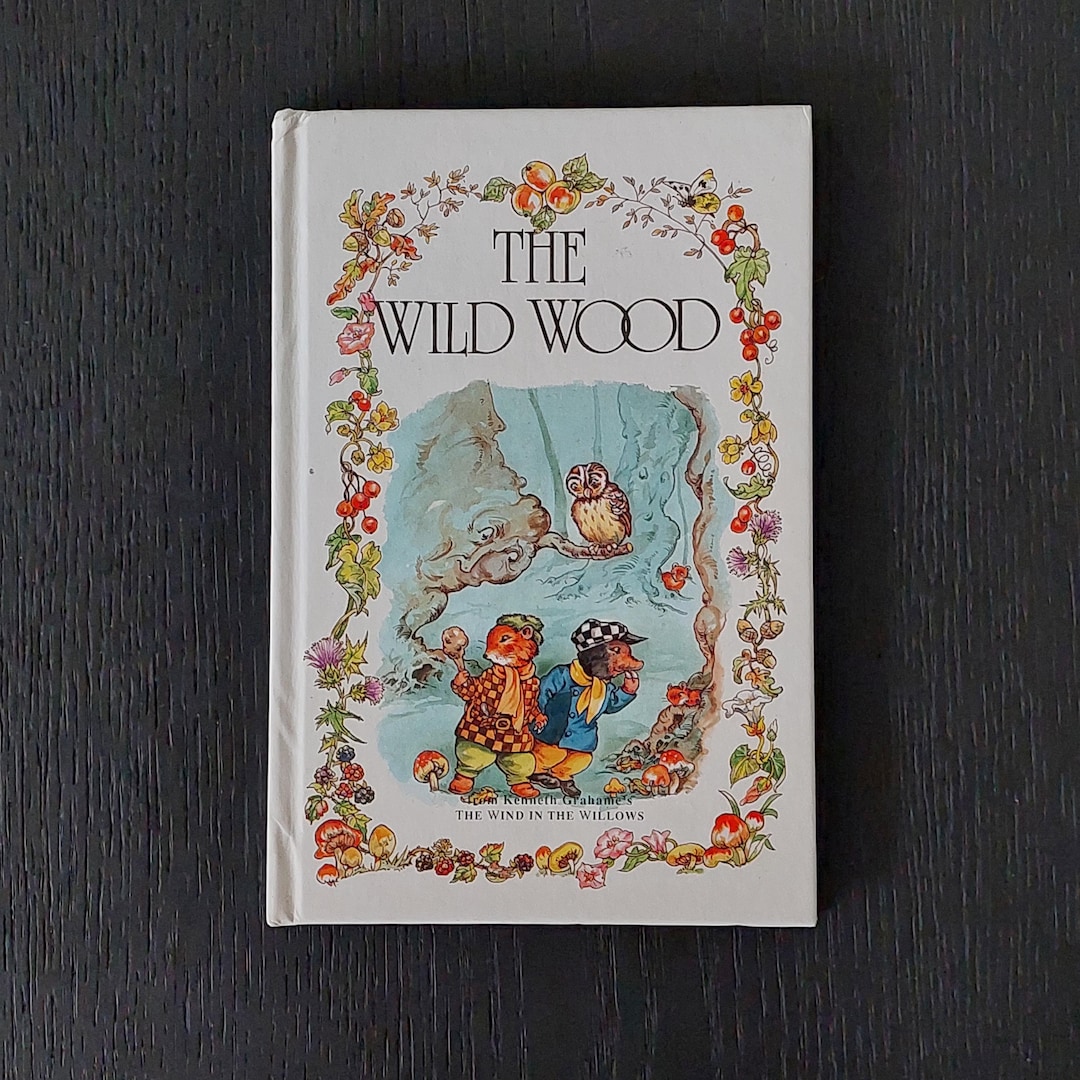 Vintage 'the Wild Wood' Children's Book: Wind in the Willows Characters ...