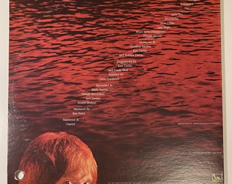 Robbie Patton - Distant Shores 1981 Vinyl LP Record - Etsy Canada