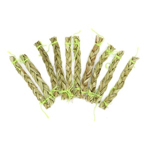 40 Sweetgrass Seeds, WINTER PLANTING Hierochloe Odorata, Vanilla Grass,  Holy Grass, Sweet Grass Seeds HI9040R 