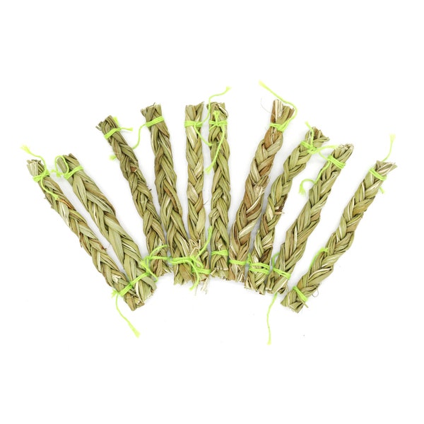 Fresh Sweetgrass Braids 3"-4" for Smudging Hand Braided Bulk Quantities Available