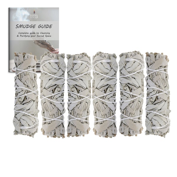 6 Pack 4 inch White Sage Smudge Sticks Bundles Fresh & Handtied with Smudging Guide