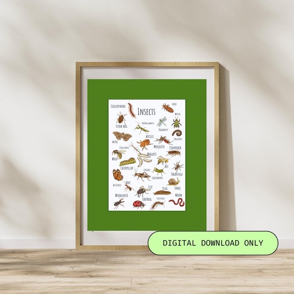 Insects poster, insects wall art decoration, insects classroom poster, educational insects poster, kids room decoration, kindergarten decor.