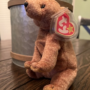 Ty Beanie Baby - “Pecan” Beanie Baby Rare - Tag Errors with Tag Protector - Collect them today