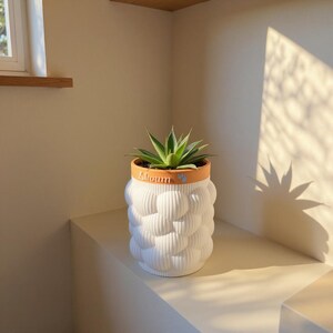 May include: A white ceramic plant pot with a textured, bubble-like pattern. The pot has a terracotta-coloured rim with the word "Alerum" and a paw print. A green succulent plant is inside the pot, which sits on a white surface.