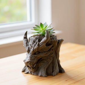 May include: A grey dragon-shaped planter with a succulent plant. The planter is detailed with a dragon's head and textured like wood. The succulent has green leaves and sits in the centre of the planter.