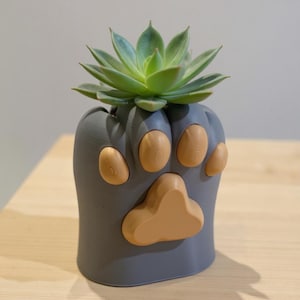 Cat Planter – Cute Animal Paw Pot for Small Plants, Pet Lover Gift, Desk Decor, Modern 3D Printed Plant Pot