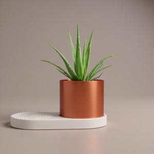 May include: A copper-coloured cylindrical planter with a green aloe vera plant, placed on a white, oval-shaped tray. The planter and tray are on a neutral surface, creating a minimalist aesthetic. The aloe vera plant has long, pointed leaves.