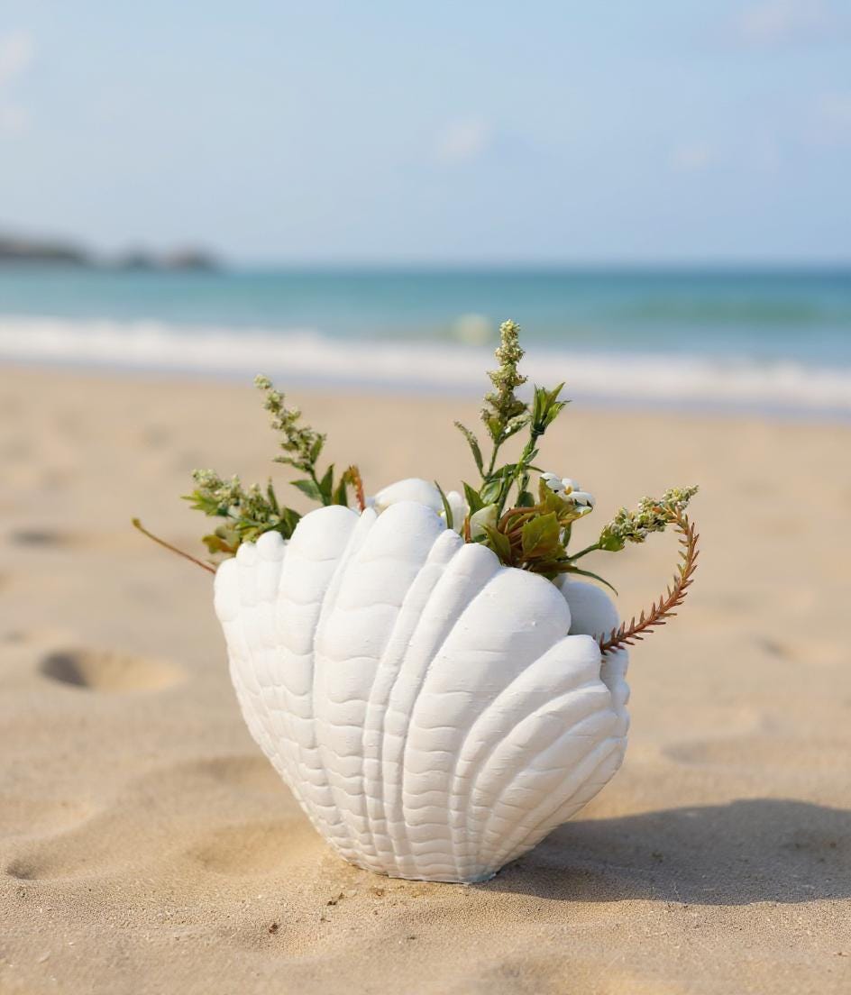 Shell Vase – 3D Printed Coastal Home Decor | Minimalist Ocean-inspired ...