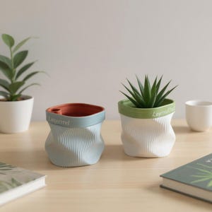 May include: Two decorative ceramic planters with a unique, textured design. One is light blue with a rust-coloured interior, the other is white with a green rim. Each holds a small plant. The planters have the text "LayeredCraf" and "Layercerrof".