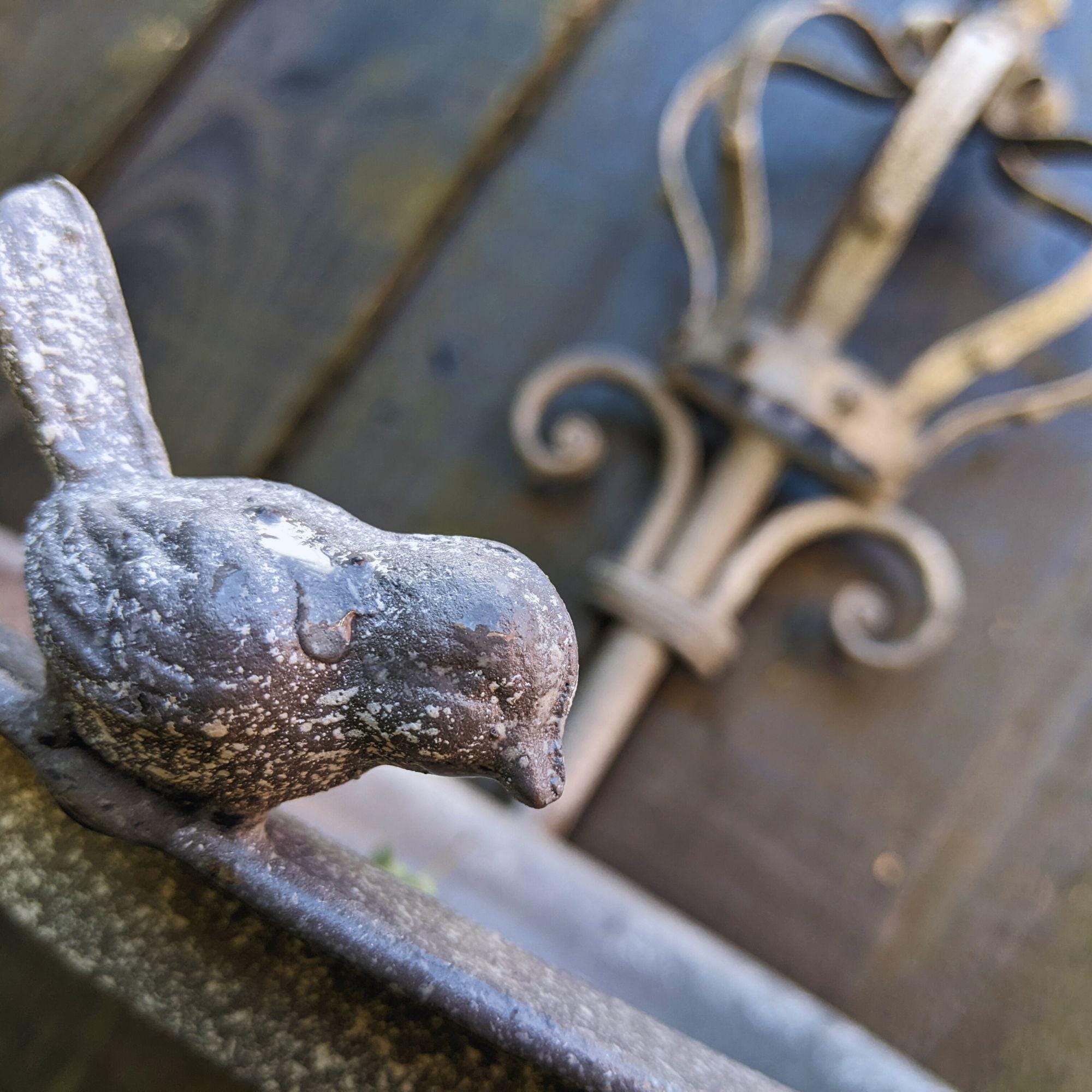 Mangiatoia Per Uccelli Selvatici, Vassoio Mangiatoia Per Uccelli - Foto 11