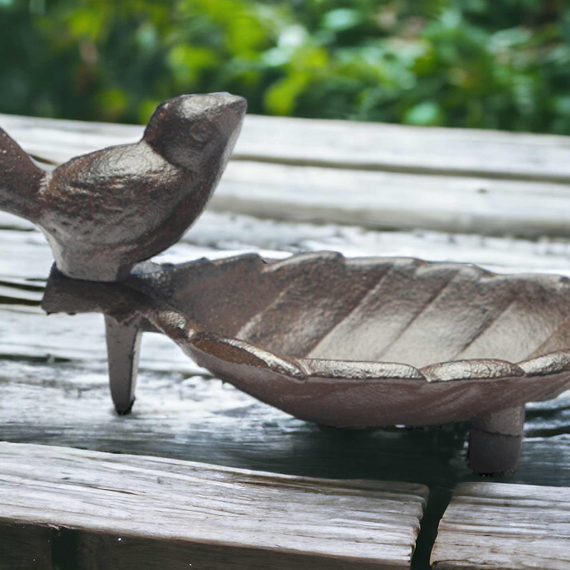 Bird Water Bowl Etsy UK