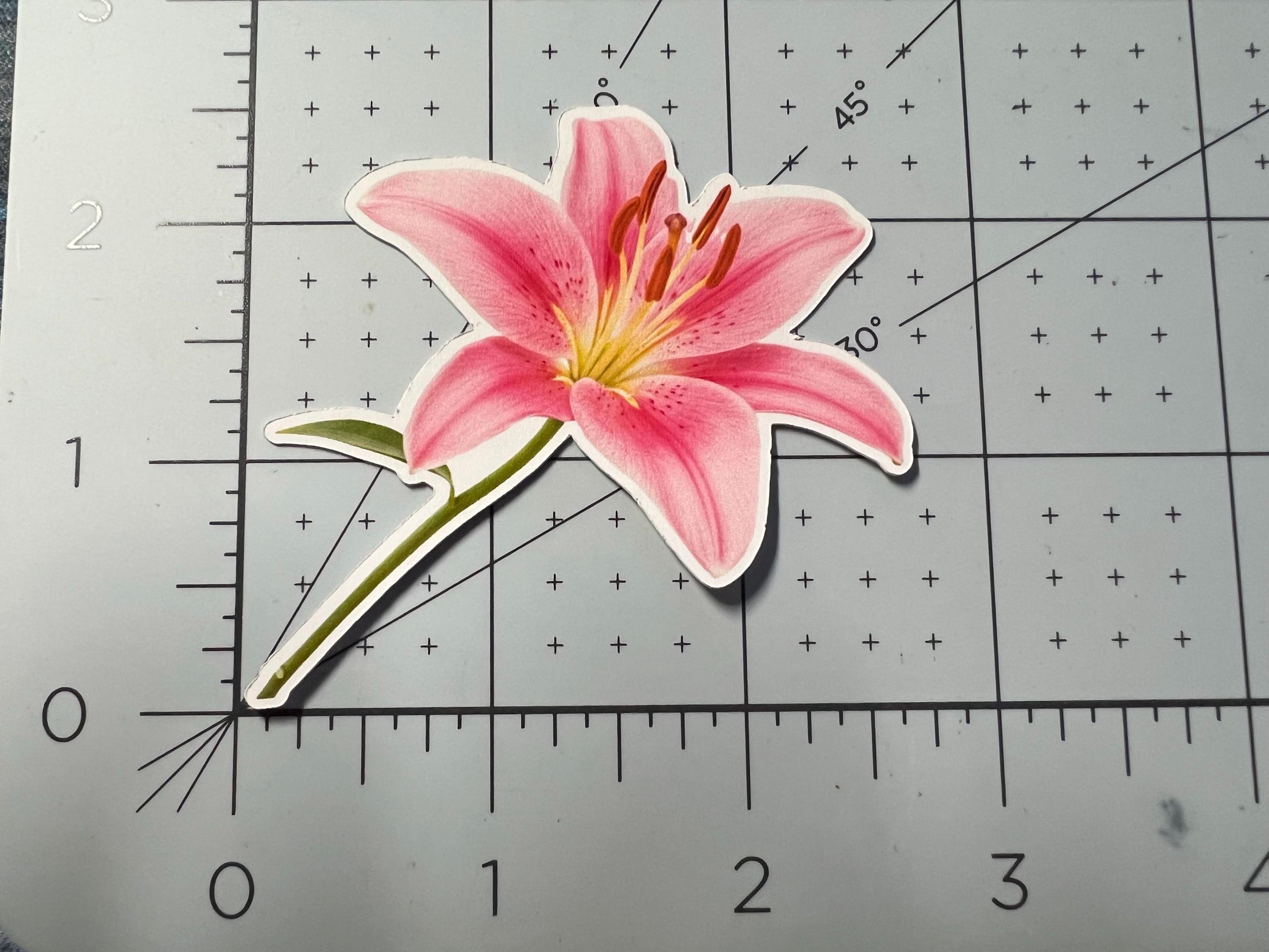 Lily Sticker Pink Tigerlily Flower Sticker: Waterproof Laptop/water Bottle Decal - Etsy