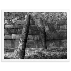 Japan Photography Framed Black & White Print, Tokyo Imperial Palace, Tree, Stone, Wall Art, Home Decor, Wall Decor, Contemporary