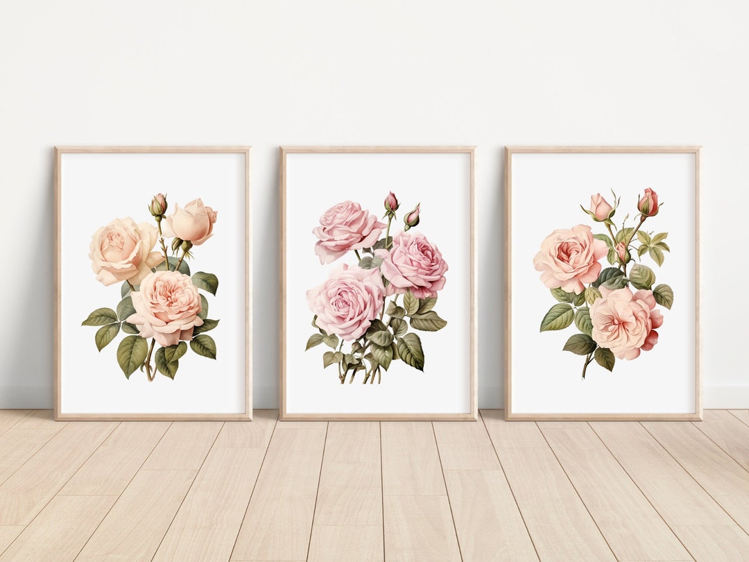 Blush Roses Flower Art Prints Set of 3 Watercolor Blush Roses Print ...