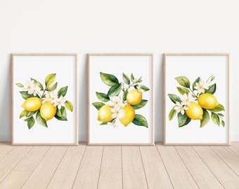 Set Of 3 Watercolor Lemon Flower Art Print Lemon twig Artwork Lemon Flower Home Decor Gift Lemon Flower Art Lemon Floral Wall Art Printing
