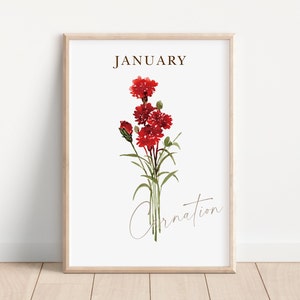 January Birth Flower Print Watercolor Carnation Flower Print Birth Month Flower Wall Decor Carnation Flower Artwork January Carnation Gift