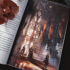 Crown of Midnight Cinematic Page Overlays