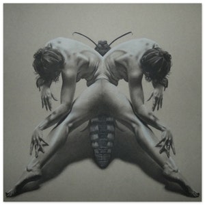 Metamorphosis Charcoal Drawing Print: Jodie Drew Art
